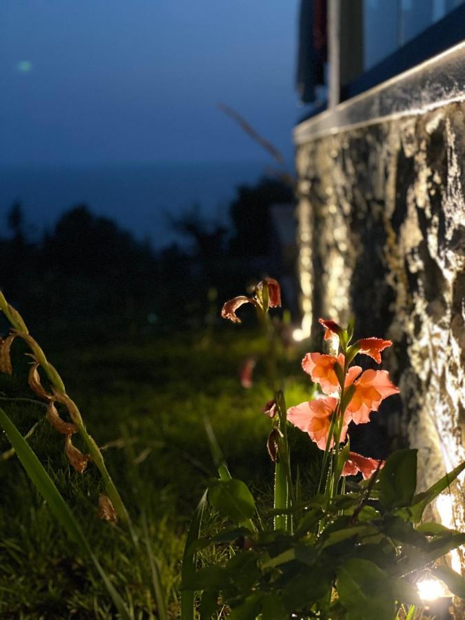 Summer Wine Boutique Hotel Дхерми Экстерьер фото